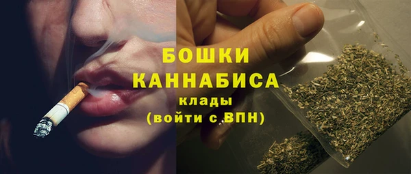соль курить ск Заводоуковск