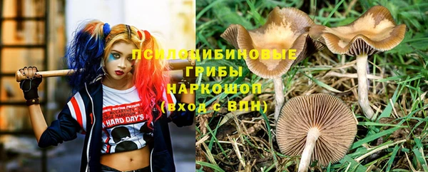 соль курить ск Заводоуковск